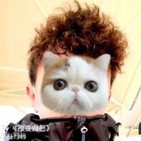罗布顿珠