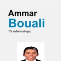 amar BOUALI