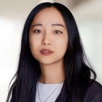Van Anh Nguyen