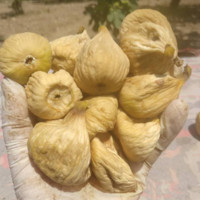 Mehmet Civaroglu MBA