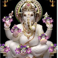 MilindDev Dev