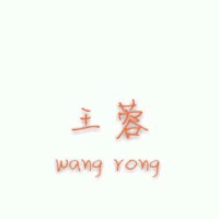 Vision Wang