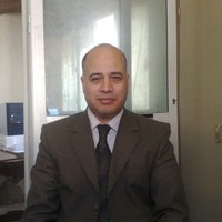 Hussein Samir Kamel Kamel