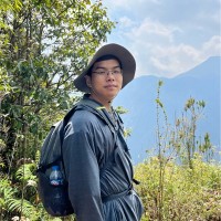 Hoang Nguyen