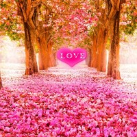 Vicky Singh