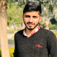 Muhammad Hussnain