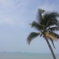 马晓飞