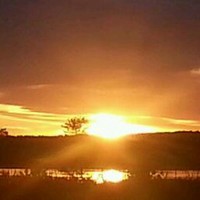 Terry U. Worcester