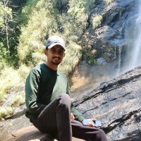 Gowda T M