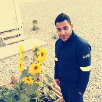 Ali Hashem