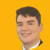 Pedro Henrique de Vargas Rosa