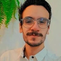 Ailton Luis Cerrados Junior