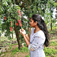 Sree Mathi