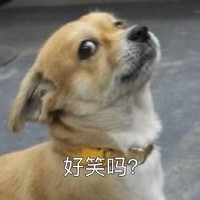 李梦尧