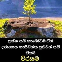 Prasad Kumarasinghe