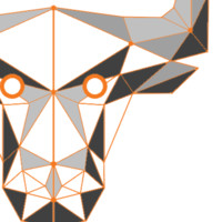 P at Digital Ox Inc.