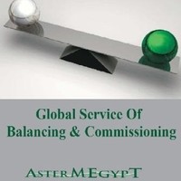 Eng.Mohammed Ezzat Hashem