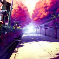 Lucas N.