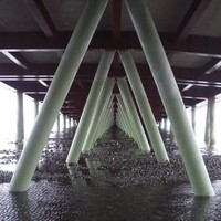 Cesar Norambuena Urbina