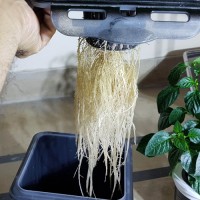 Pakistan Hydroponics