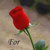 Irfan Mulla