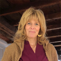 Lisa Furlong