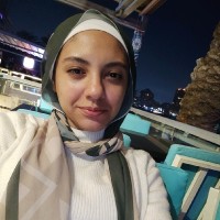 Nourhan Hussein Salem