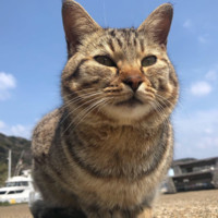 上田和広