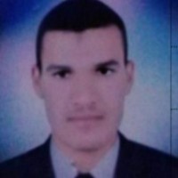 Gamil Abdelnasser