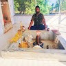 Shiv Shakti Mahadev