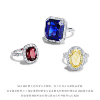 徐雪婷