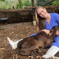 Maria Eduarda de Oliveira Gomes