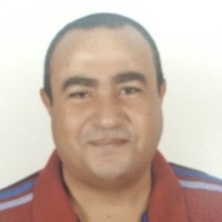 Aly Bakr