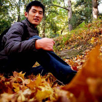 杨鹏飞