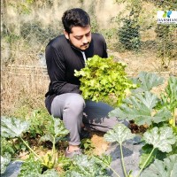 Sumit Chouhan