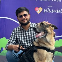 Harshil Patel