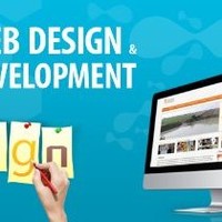 Website Development