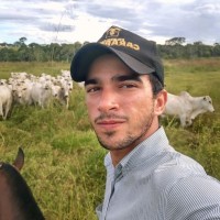 Guilherme Damiani