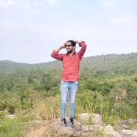 Manjunath Naik N
