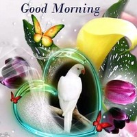 Divya Pandey
