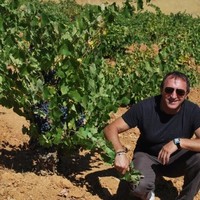 Stefano Vanelli tagliacane