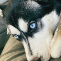 Lucero Lara Chavolla