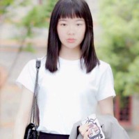 何婉梨