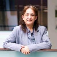 Mª Carmen González Ortega