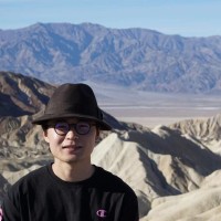 Yitian Zhao