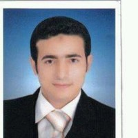 Mr. Alaa Ashour Essayed