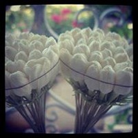 Nour Tounes