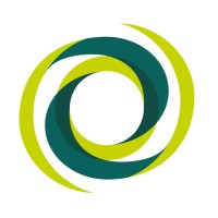 New Business And Partnerships