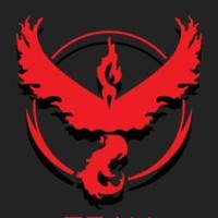 Team Valor