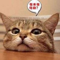 傅俊文
